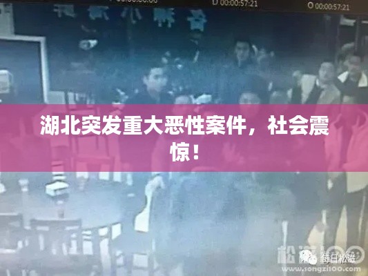 湖北突发重大恶性案件,社会震惊!