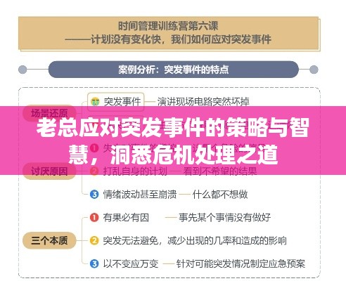 老总应对突发事件的策略与智慧,洞悉危机处理之道
