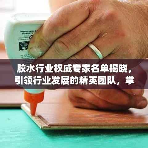 胶水行业权威专家名单揭晓,引领行业发展的精英团队,掌握最新行业动态资讯