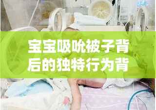 宝宝吸吮被子背后的独特行为背后的奥秘揭秘