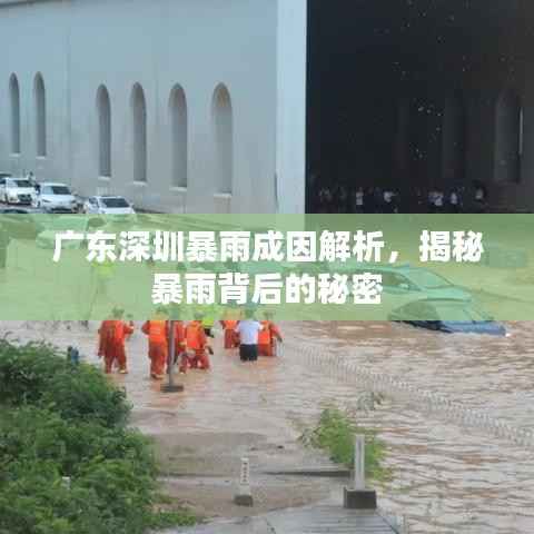 广东深圳暴雨成因解析,揭秘暴雨背后的秘密