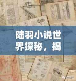 陆羽小说世界探秘,揭开神秘面纱,百度带你深入了解