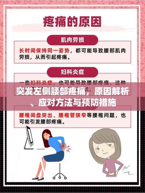 突发左侧腰部疼痛,原因解析、应对方法与预防措施
