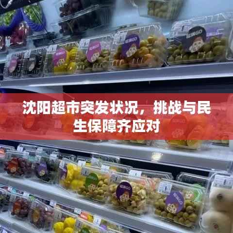 沈阳超市突发状况,挑战与民生保障齐应对