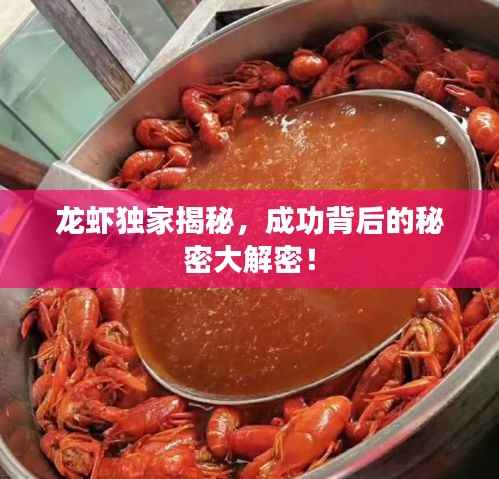 龙虾独家揭秘,成功背后的秘密大解密!