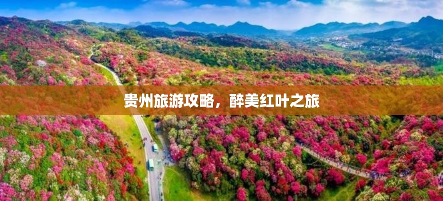 贵州旅游攻略,醉美红叶之旅