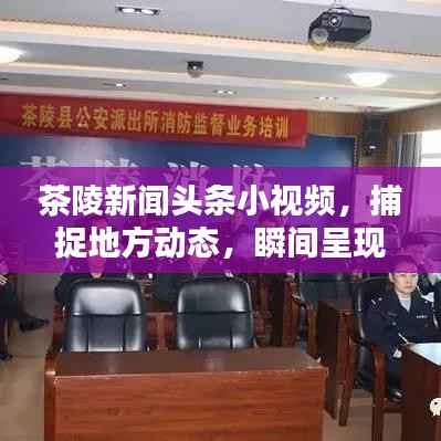 茶陵新闻头条小视频,捕捉地方动态,瞬间呈现精彩