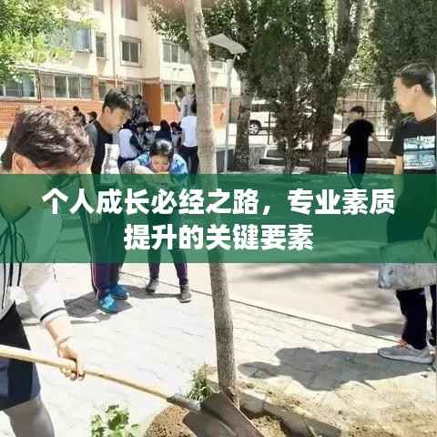 个人成长必经之路,专业素质提升的关键要素