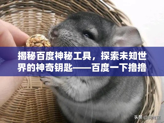 揭秘百度神秘工具，探索未知世界的神奇钥匙——百度一下撸撸看！