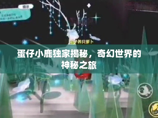 蛋仔小鹿独家揭秘,奇幻世界的神秘之旅