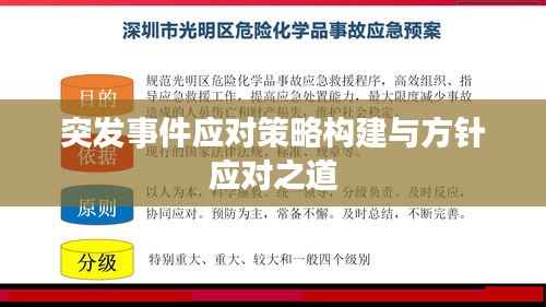 突发事件应对策略构建与方针应对之道
