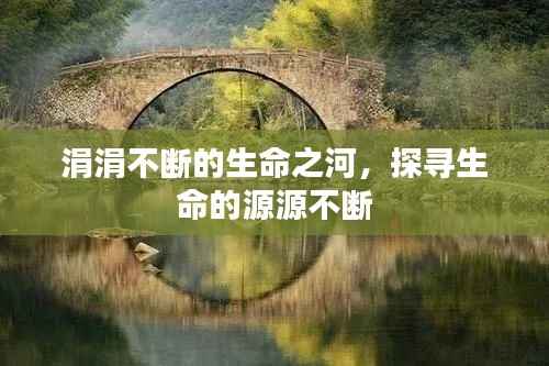 涓涓不断的生命之河,探寻生命的源源不断