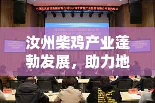 汝州柴鸡产业蓬勃发展,助力地方经济腾飞——新闻热点