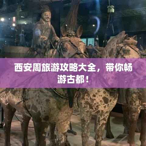 西安周旅游攻略大全,带你畅游古都!