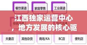 江西独家运营中心,地方发展的核心驱动力