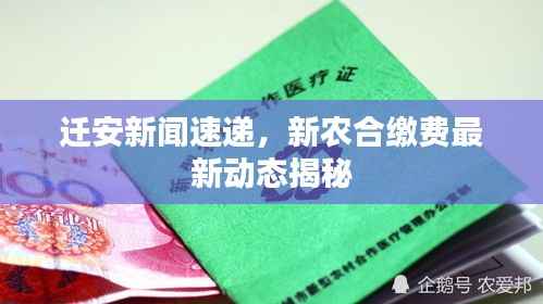 迁安新闻速递,新农合缴费最新动态揭秘