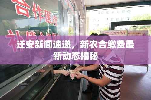 迁安新闻速递,新农合缴费最新动态揭秘