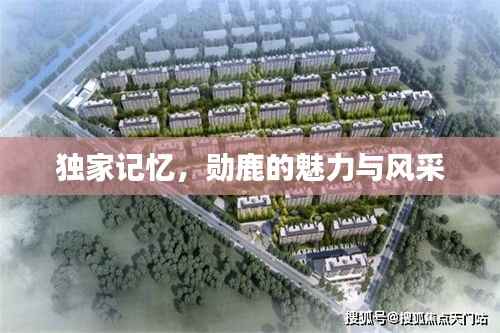 独家记忆,勋鹿的魅力与风采