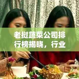 老挝蔬菜公司排行榜揭晓,行业巨头榜单揭秘