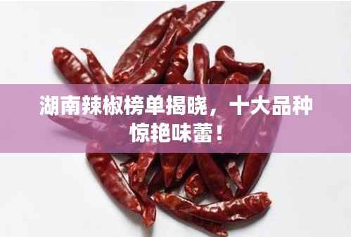 湖南辣椒榜单揭晓,十大品种惊艳味蕾!