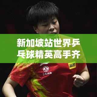 新加坡站世界乒乓球精英高手齐聚,排名之战烽火再燃!