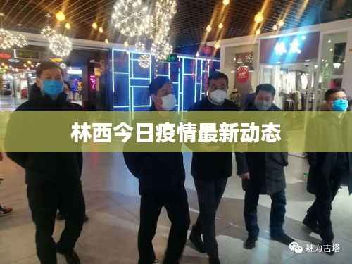 林西今日疫情最新动态