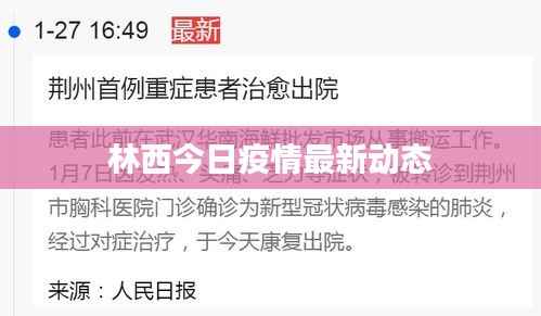 林西今日疫情最新动态