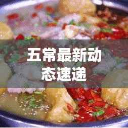 五常最新动态速递