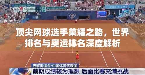顶尖网球选手荣耀之路,世界排名与奥运排名深度解析