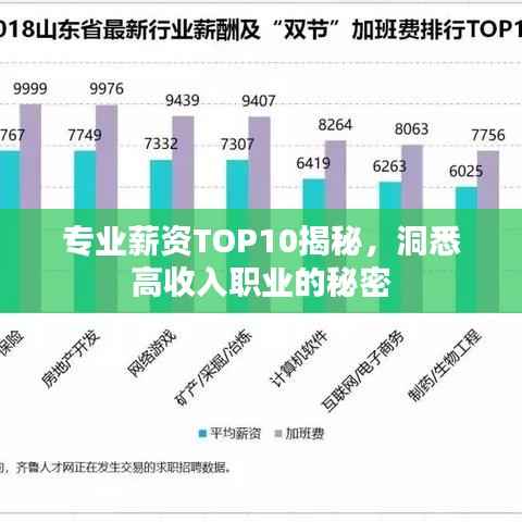 专业薪资TOP10揭秘,洞悉高收入职业的秘密