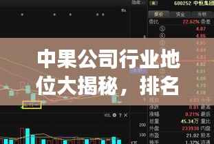 中果公司行业地位大揭秘,排名分析揭示市场影响力