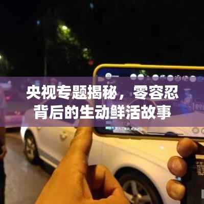 央视专题揭秘,零容忍背后的生动鲜活故事