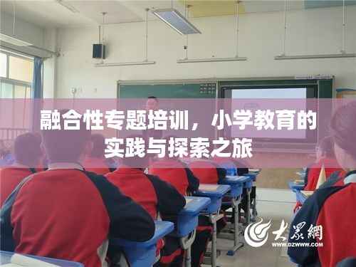 融合性专题培训,小学教育的实践与探索之旅