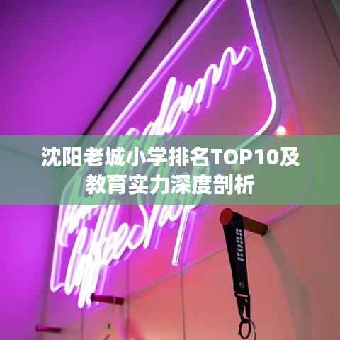 沈阳老城小学排名TOP10及教育实力深度剖析