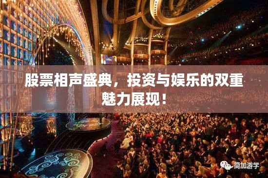 股票相声盛典,投资与娱乐的双重魅力展现!