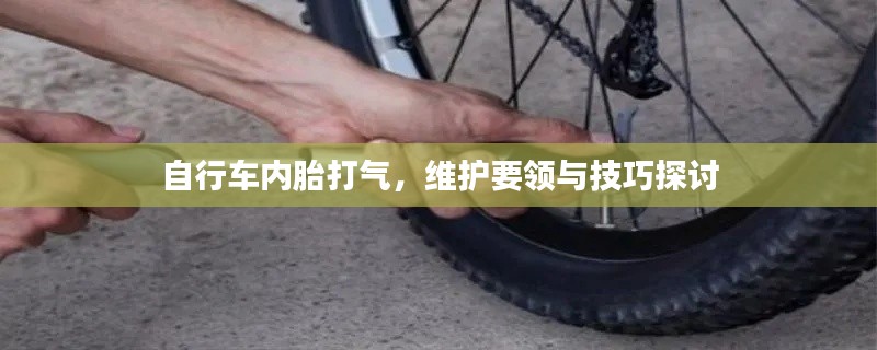 自行车内胎打气,维护要领与技巧探讨