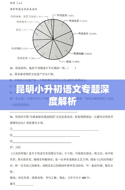 昆明小升初语文专题深度解析