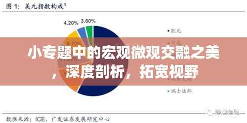 小专题中的宏观微观交融之美,深度剖析,拓宽视野
