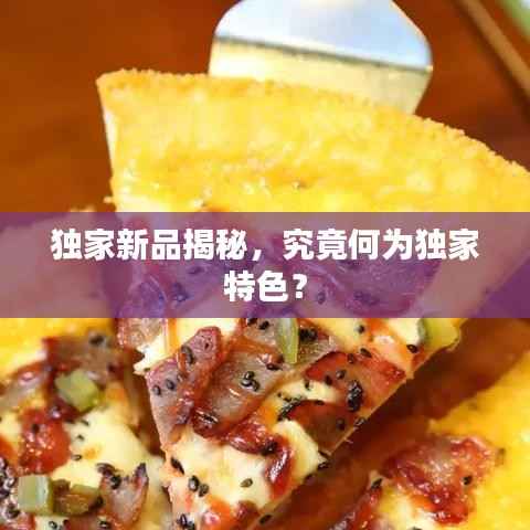独家新品揭秘,究竟何为独家特色?