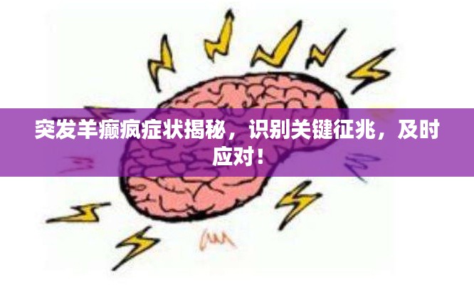 突发羊癫疯症状揭秘,识别关键征兆,及时应对!