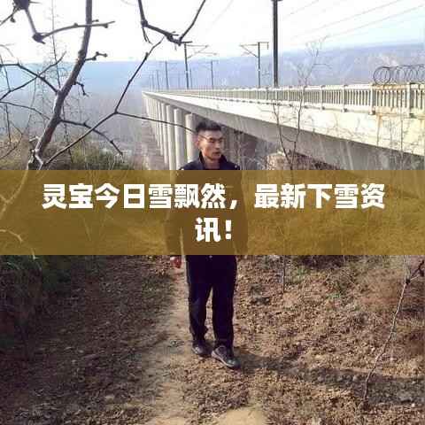 灵宝今日雪飘然,最新下雪资讯!