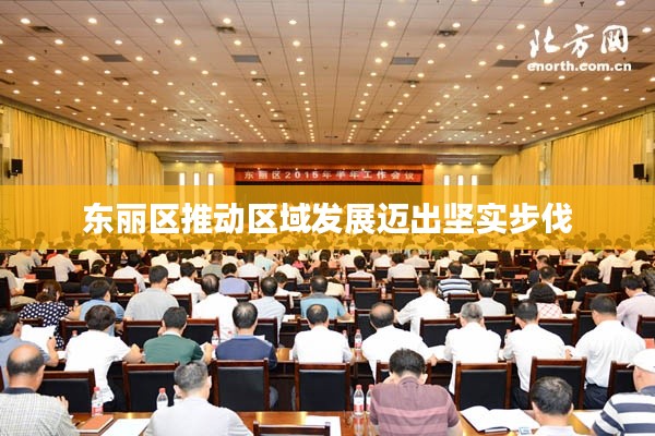 东丽区推动区域发展迈出坚实步伐