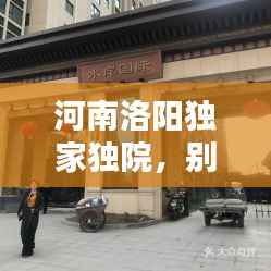 河南洛阳独家独院,别样生活体验独家揭秘