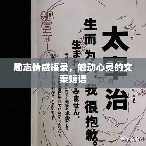 励志情感语录,触动心灵的文案短语