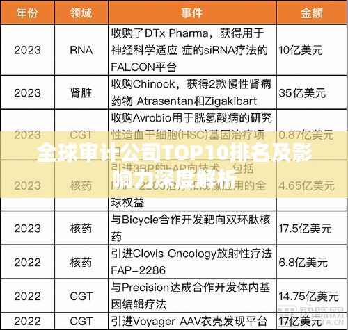 全球审计公司TOP10排名及影响力深度解析