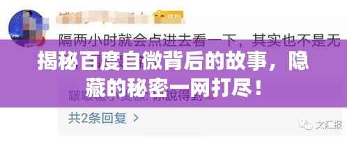 坌鸟先飞 第2页