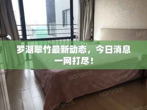 罗湖翠竹最新动态,今日消息一网打尽!