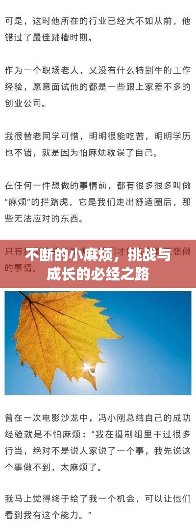 不断的小麻烦,挑战与成长的必经之路