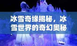 冰雪奇缘揭秘,冰雪世界的奇幻奥秘与独特魅力探索