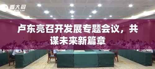 卢东亮召开发展专题会议,共谋未来新篇章